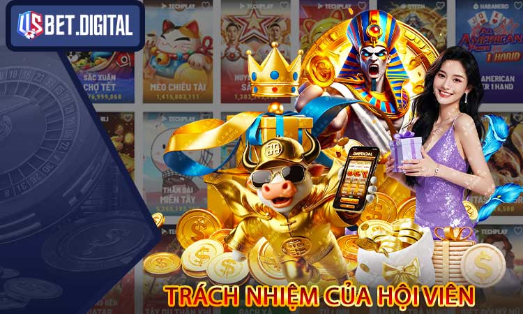 Trách nhiệm của hội viên đối với Điều khoản và điều kiện USBET